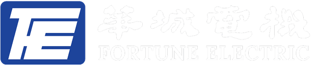 Fortune Electric